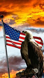 Image result for USA iPhone Wallpaper