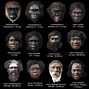 Image result for Family Hominid Tree Human Evolution
