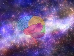 Image result for The Universe Like a Brain