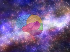 Image result for Universe Structure Vs. Brain