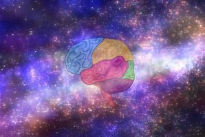 Image result for Universe Brain