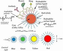Image result for Core-Shell Quantum Dots