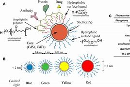 Image result for Type 1 Quantum Dots