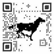 Image result for QR Code Generator with Logo