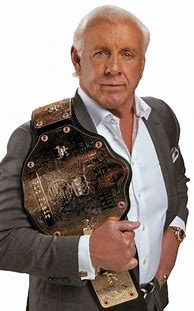 Image result for Camp WWE Ric Flair