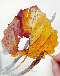 Pin by Devin Van Horn on Botanical ART & Illustration | Watercolor paintings, Botanical painting, Botanical drawings