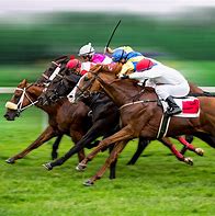Image result for Australia Racing Form Horse Sign