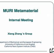 Image result for co_to_za_zhang_xiangxiang