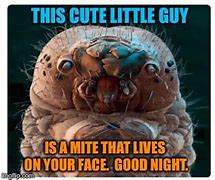 Image result for Scary Sweet Dreams Meme