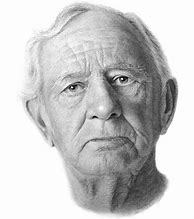 Image result for Human Face Pencil Drawing