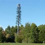 Image result for Palm Tree Phone Stabd