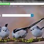 Image result for Google Homepage Search Engine