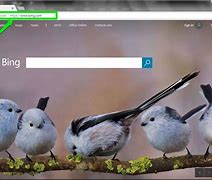 Image result for Bing Local Search