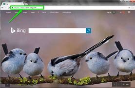 Image result for Bing Search Engine Wikipedia