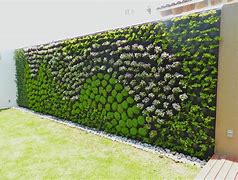 Image result for Muro Verde Cactaceas