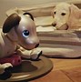 Image result for Who Is Aibo
