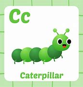 Image result for Caterpillar Flashcard