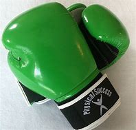 Image result for 8 Oz Boxing Gloves