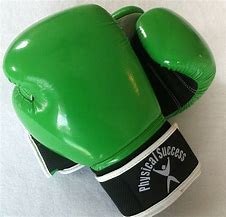 Image result for Vintage Boxing Gloves