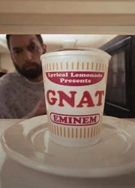 Image result for Eminem Gnat