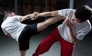 Image result for Self-Defense Martial Arts Moves