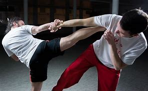 Image result for Defensive Position Martial Arts