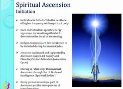 Image result for Enlightenment Stages Meme Brain Pics