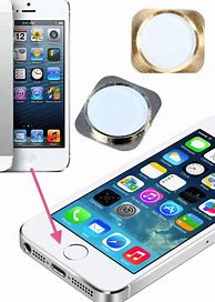 Image result for Is the iPhone 5S home button the same size as the iPhone 5?