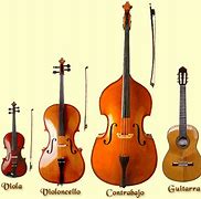 Image result for 5 Instrumentos De Cordofonos