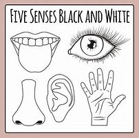 Image result for Clip Art Senses Black and White