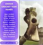 Image result for Cricket Team Name Ideas