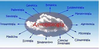 Image result for aerobio