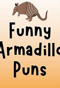 Image result for Funny Armadillo