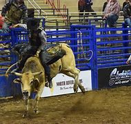 Image result for Sikeston MO Rodeo