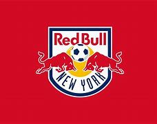 Image result for New York Red Bulls
