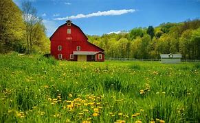Image result for Ideas for Farmhouse Wallpaper