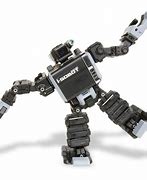 Image result for Smallest Robot