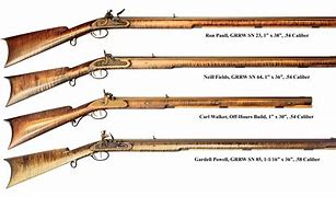 Image result for Hawken Rifle