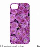 Image result for Cactus iPhone SE Case