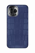 Image result for blue iphone 14 cases