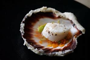 Image result for Une Coquille Saint-Jacques