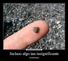 Image result for insignificante