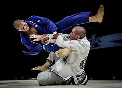 Image result for BJJ Brazilian Jiu Jitsu