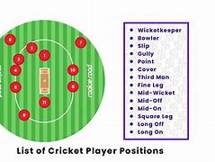 Image result for Cricket 11 Players