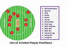 Image result for Diagram of Field Positions for Cricket