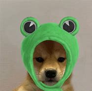 Image result for Dog PFP Meme Frog