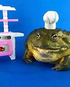 Image result for Toad Frog Surprisememe