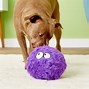 Image result for Dog Rope Pull Toys