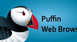 Image result for Puffin Browser Interface