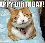 Image result for Funny Birthday Cat Memes for Women